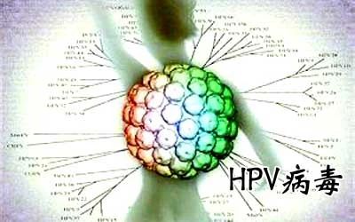 HPV病毒能否徹底清除？深度解析與應(yīng)對(duì)策略，深度解析HPV病毒能否徹底清除，應(yīng)對(duì)策略及應(yīng)對(duì)方法