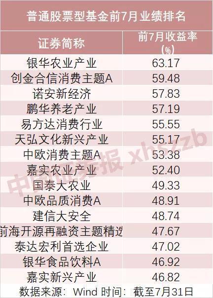 諾安價(jià)值增長(zhǎng)基金的凈值表現(xiàn)與市場(chǎng)洞察，諾安價(jià)值增長(zhǎng)基金凈值表現(xiàn)與市場(chǎng)洞察分析