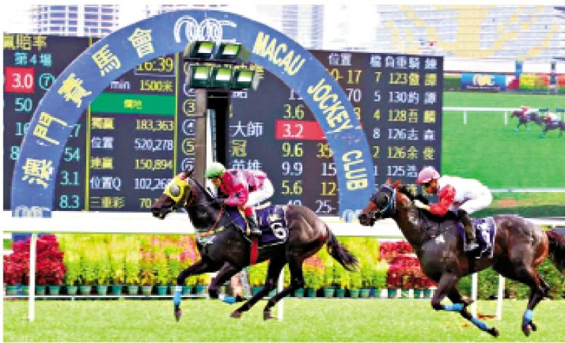 澳門賽馬會，歷史、文化與激情的交融，澳門賽馬會，歷史、文化與激情的盛會