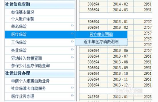 2025新澳門歷史記錄查詢完全指南，澳門歷史記錄查詢完全指南（2025版）