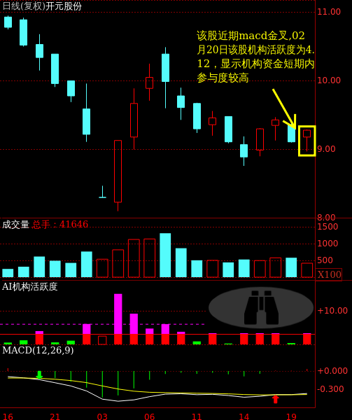 關(guān)于股票300338的全方位解析，股票300338全方位深度解析