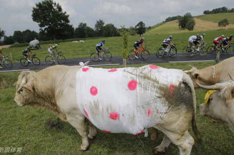 王中王四不像特一肖，神秘文化符號(hào)解讀與SEO洞察，王中王四不像特一肖，神秘文化符號(hào)解讀與SEO洞察揭秘