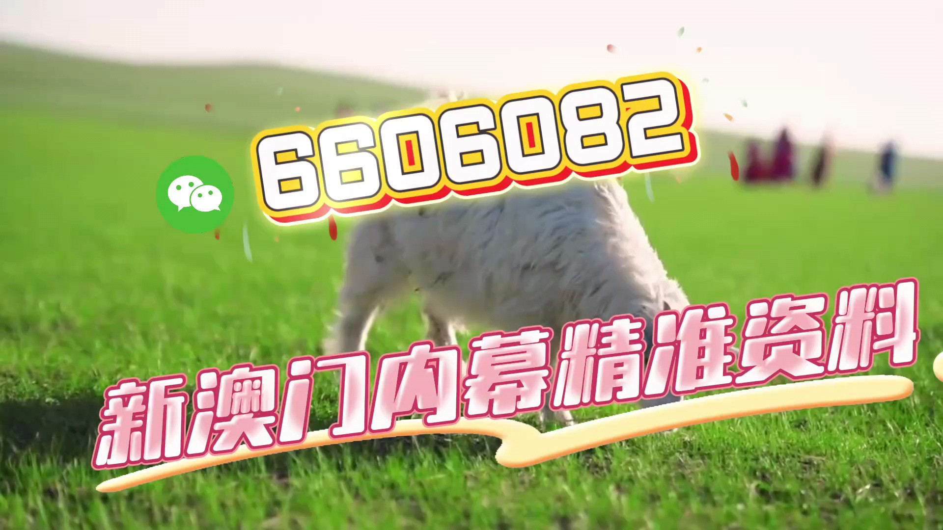 澳門今晚必開一肖一特，揭秘生肖彩票的魅力與預(yù)測技巧，澳門生肖彩票預(yù)測揭秘，一肖一特魅力與預(yù)測技巧探討