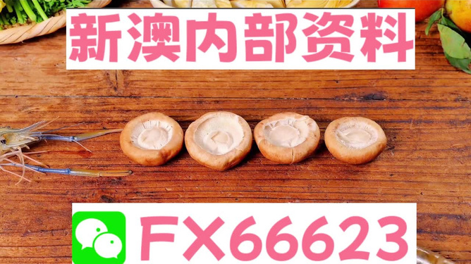 新澳全年免費(fèi)資料大全——探索與學(xué)習(xí)資源的寶庫，新澳全年免費(fèi)資料大全，探索與學(xué)習(xí)資源的終極寶庫