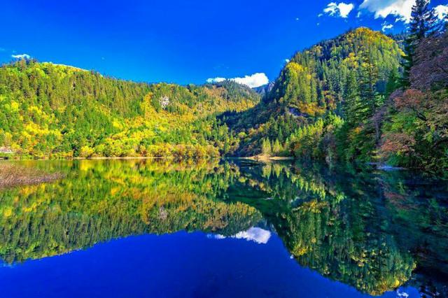 九寨溝五花海，自然之美的巔峰體驗(yàn)，九寨溝五花海，自然巔峰之美的極致體驗(yàn)