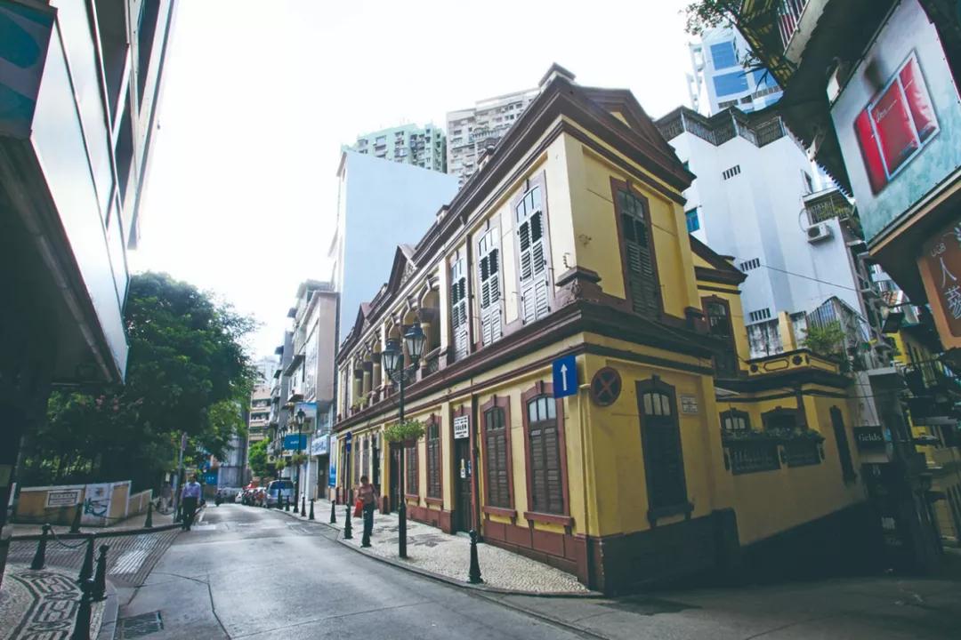 澳門必開(kāi)一生一肖碼，揭秘背后的秘密與真相，澳門必開(kāi)一生一肖碼揭秘內(nèi)幕與真相