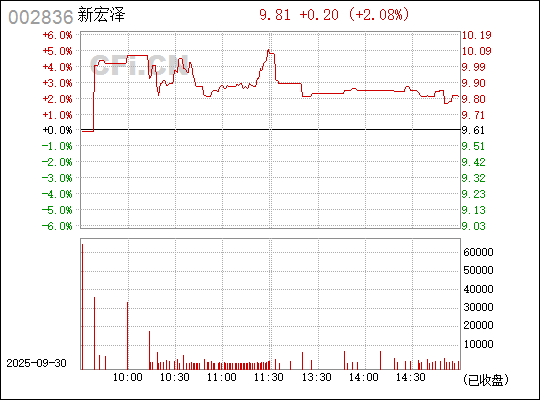 深入了解數(shù)字代碼，002836——探索其背后的含義與應用，揭秘數(shù)字代碼002836背后的含義與應用探索
