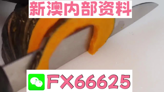 澳門管家婆，揭秘精準預測的秘密武器，澳門管家婆揭秘，精準預測的秘密武器全解析