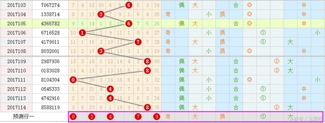 王中王彩霸王一肖中特——揭秘彩票背后的秘密，彩票背后的秘密揭秘，王中王彩霸王一肖中特探秘之旅