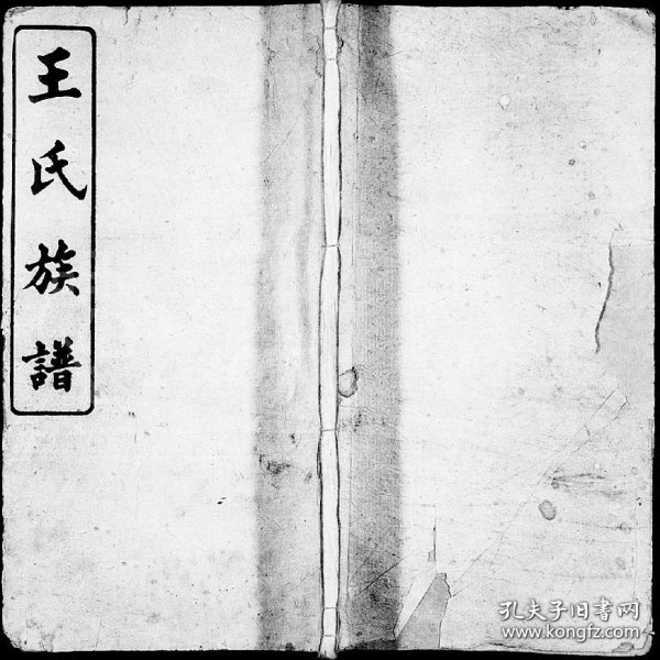 小魚(yú)兒一肖王中王興典，探索背后的故事與奧秘，小魚(yú)兒一肖王中王興典，背后的故事與奧秘揭秘