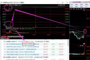 探索300563股吧的獨(dú)特魅力與機(jī)遇，揭秘300563股吧，獨(dú)特魅力與無限機(jī)遇
