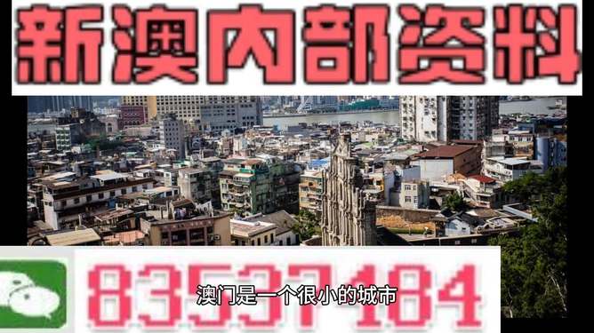 新澳門精準四肖期準，探索背后的秘密與策略，澳門精準四肖期背后的秘密與策略探索