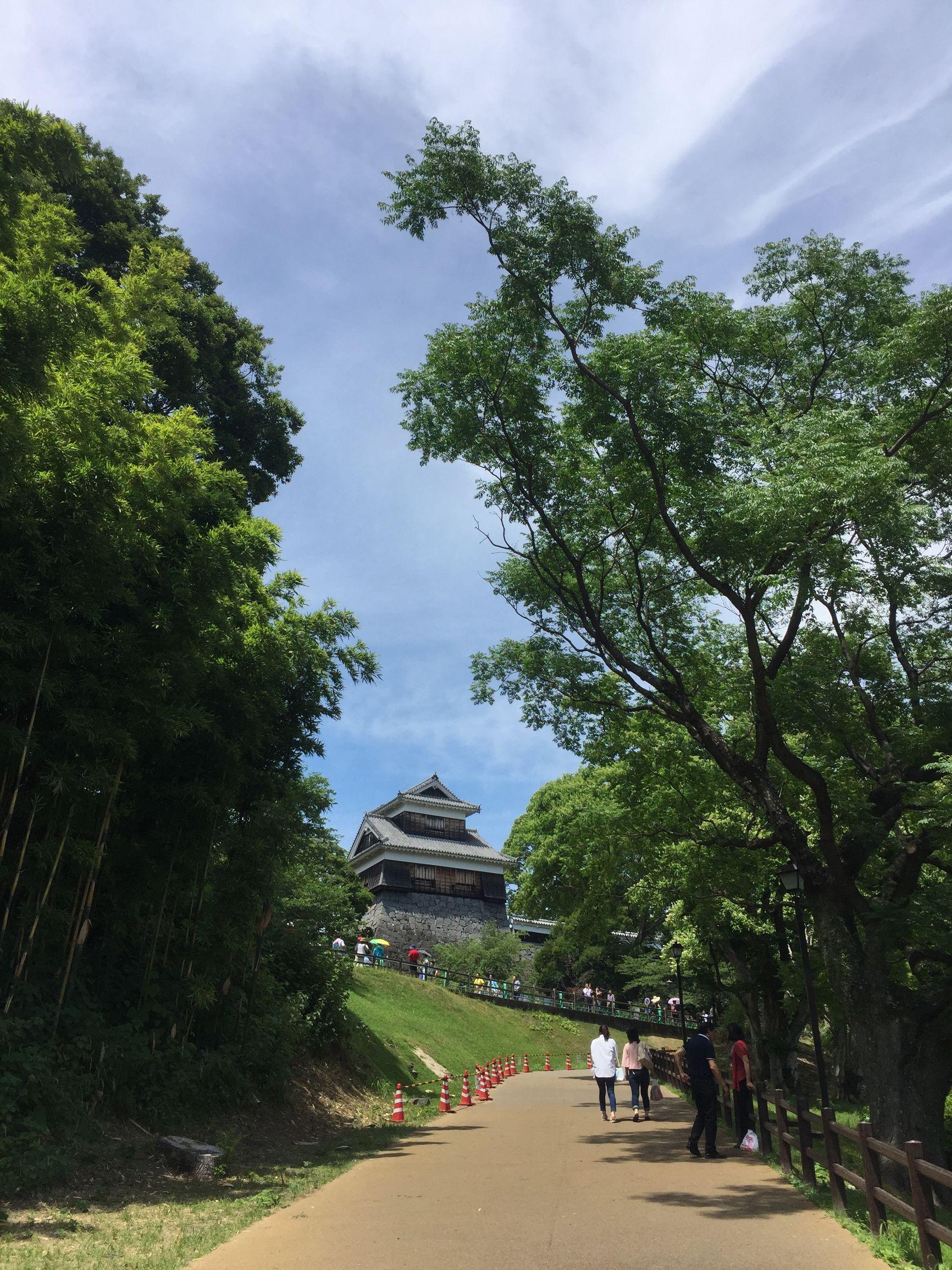 上海游輪旅游路線及價格詳解，上海游輪旅游路線與價格全面解析