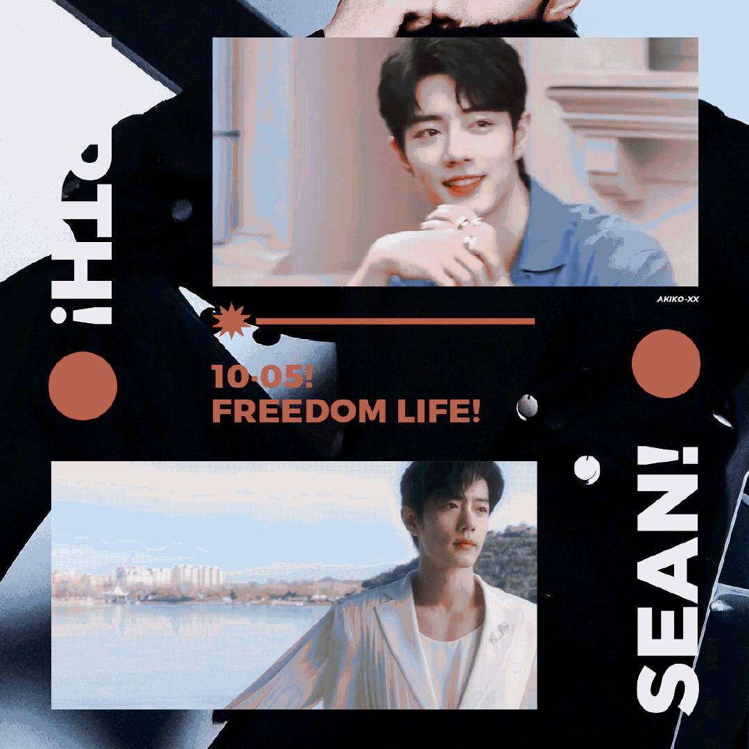 一肖一碼一一肖一子，揭秘生肖與數(shù)字之間的神秘聯(lián)系，揭秘生肖與數(shù)字之間的神秘關(guān)聯(lián)，一肖一碼與子生肖的奧秘