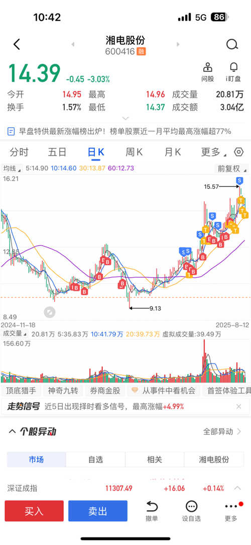 湘電股份股票，深度解析與前景展望，湘電股份股票深度解析及前景展望