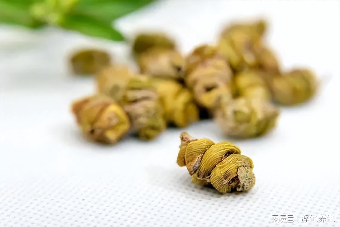 三種人千萬不能吃石斛——了解石斛的適用人群，石斛適用人群解析，三種人群需慎用石斛