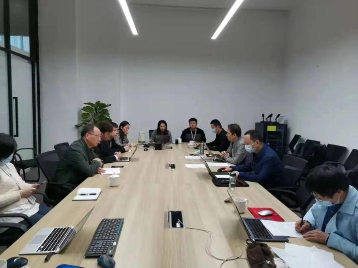 隆平高科股票股，投資潛力與市場前景分析，隆平高科股票投資潛力與市場前景深度解析