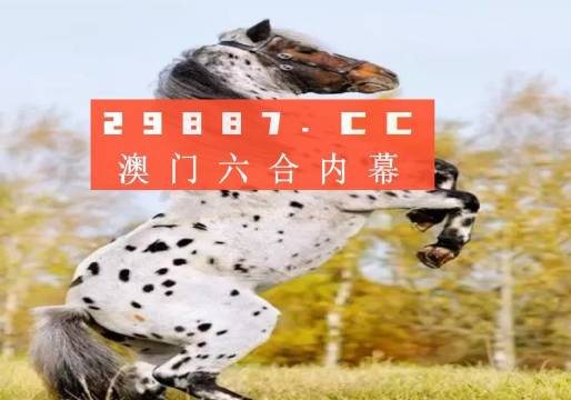 白小姐三碼三期必出一期嗎——揭秘真相與理性思考，揭秘白小姐三碼三期，真相與理性思考的重要性