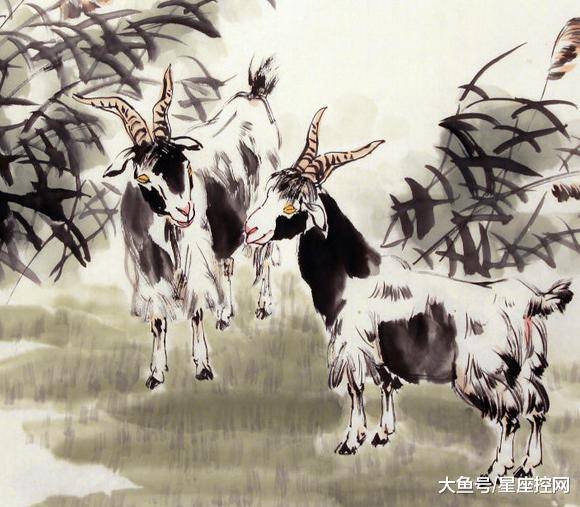 澳門最快開獎(jiǎng)六開生肖，揭秘彩票背后的秘密，澳門六開生肖彩票背后的秘密揭曉