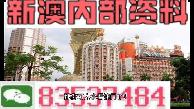 新澳新澳門正版資料，探索與解析，新澳新澳門正版資料深度解析與探索