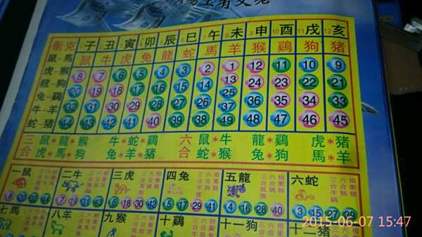 揭秘12生肖開獎記錄，歷史數(shù)據(jù)與趨勢分析，揭秘生肖開獎記錄，歷史數(shù)據(jù)與趨勢深度分析