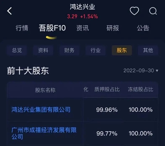 鴻達(dá)股份股票，深度解析與前景展望，鴻達(dá)股份股票深度解析及未來前景展望