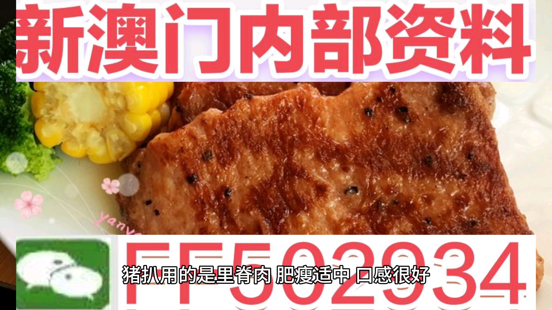 澳門今晚彩票特馬生肖預(yù)測，探尋未來的幸運之獸（2025年分析），澳門彩票生肖預(yù)測，探尋未來幸運之獸（特馬生肖預(yù)測分析）