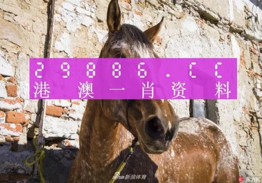 揭秘王中王資料，一肖正特馬的奧秘，揭秘王中王資料與一肖正特馬的神秘面紗