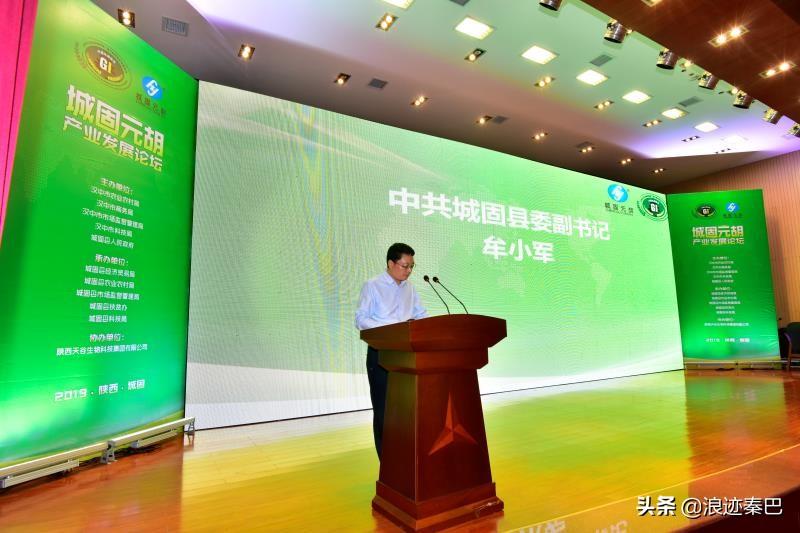 元胡的功效與作用，揭示傳統(tǒng)草藥的神奇療效，元胡的神奇療效，功效與作用探究