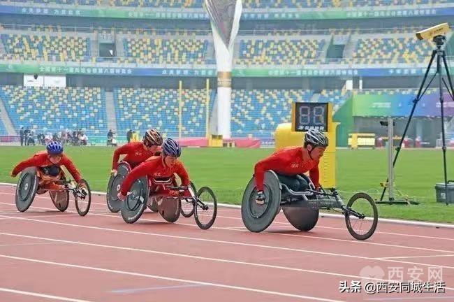 探索澳門未來，2025新澳門正版免費資本車展望，澳門未來展望，2025資本車正版免費探索之旅