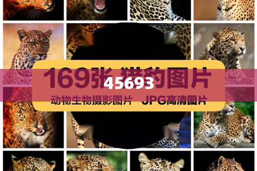全新升級，7777888888精準新管家，全新升級管家，精準管理，一站式服務(wù) 7777888888新管家重磅來襲