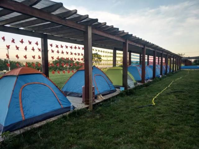 西安親子游最佳方案，西安親子游最佳攻略