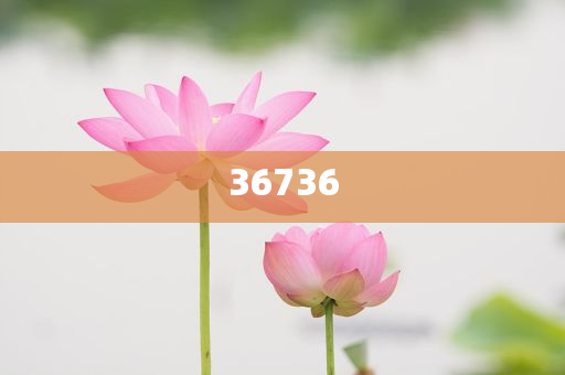 精準(zhǔn)新傳真真相