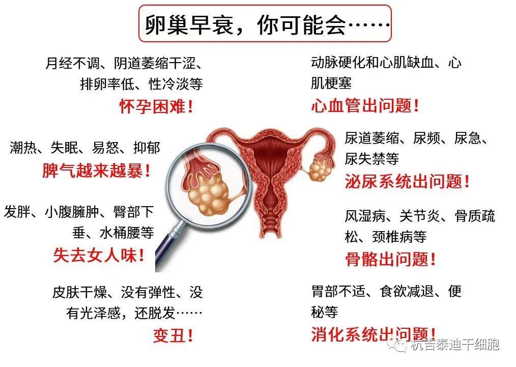 四十歲卵巢早衰能否調(diào)整回來？解讀卵巢早衰與應(yīng)對策略，四十歲卵巢早衰能否調(diào)整回來？解讀卵巢早衰現(xiàn)象及應(yīng)對策略