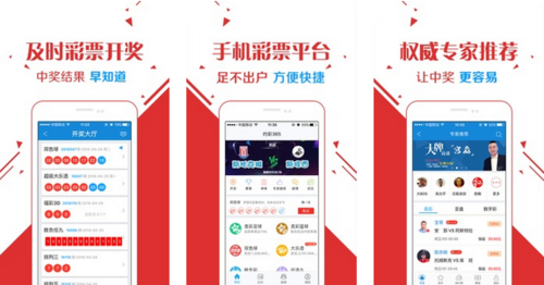 王中王玄機平特一肖，深度解讀與SEO策略探討，王中王玄機平特一肖，深度解讀與SEO策略探析