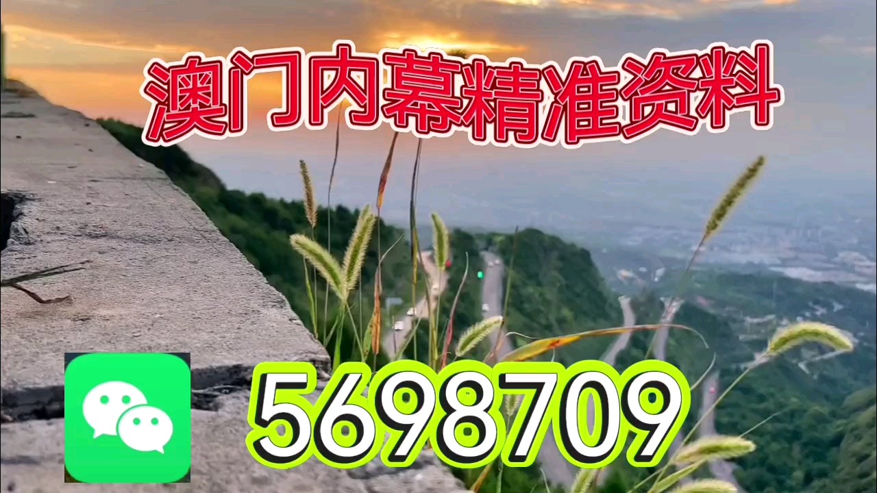 新澳天天開(kāi)彩資料大全，探索彩票世界的奧秘，探索彩票世界奧秘，新澳天天開(kāi)彩資料大全