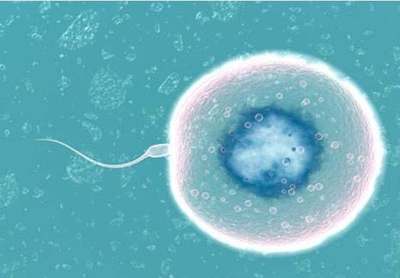 自己測試懷孕的小方法——早期懷孕檢測指南，早期懷孕自我檢測指南，小方法助你快速知孕情