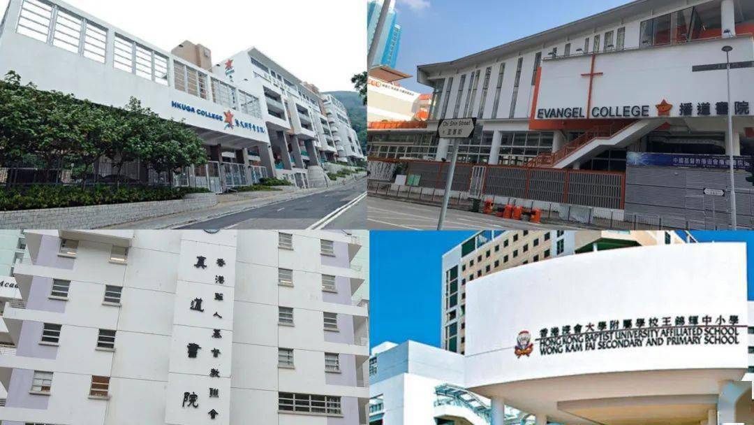 香港免費公開資料大全，探索無盡的資源寶庫，香港免費公開資料寶庫，無盡資源探索之旅