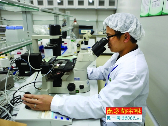 關(guān)于結(jié)扎的SEO文章，結(jié)扎手術(shù)詳解，知識(shí)、優(yōu)勢(shì)與注意事項(xiàng)