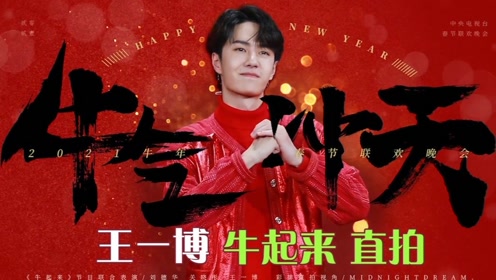 王中王一肖中特一馬救世，探尋背后的故事與真理，探尋王中王一肖中特背后的故事與真理，一馬救世的傳奇之旅