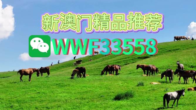 揭秘精準(zhǔn)預(yù)測一肖的秘密，解碼77777與88888的神秘?cái)?shù)字組合，揭秘精準(zhǔn)預(yù)測生肖的秘密，數(shù)字組合77777與88888的神秘解碼