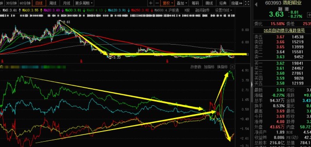 關于股票行情分析，聚焦代碼為000838的股票動態(tài)，股票行情分析，聚焦代碼為000838的股票走勢動態(tài)