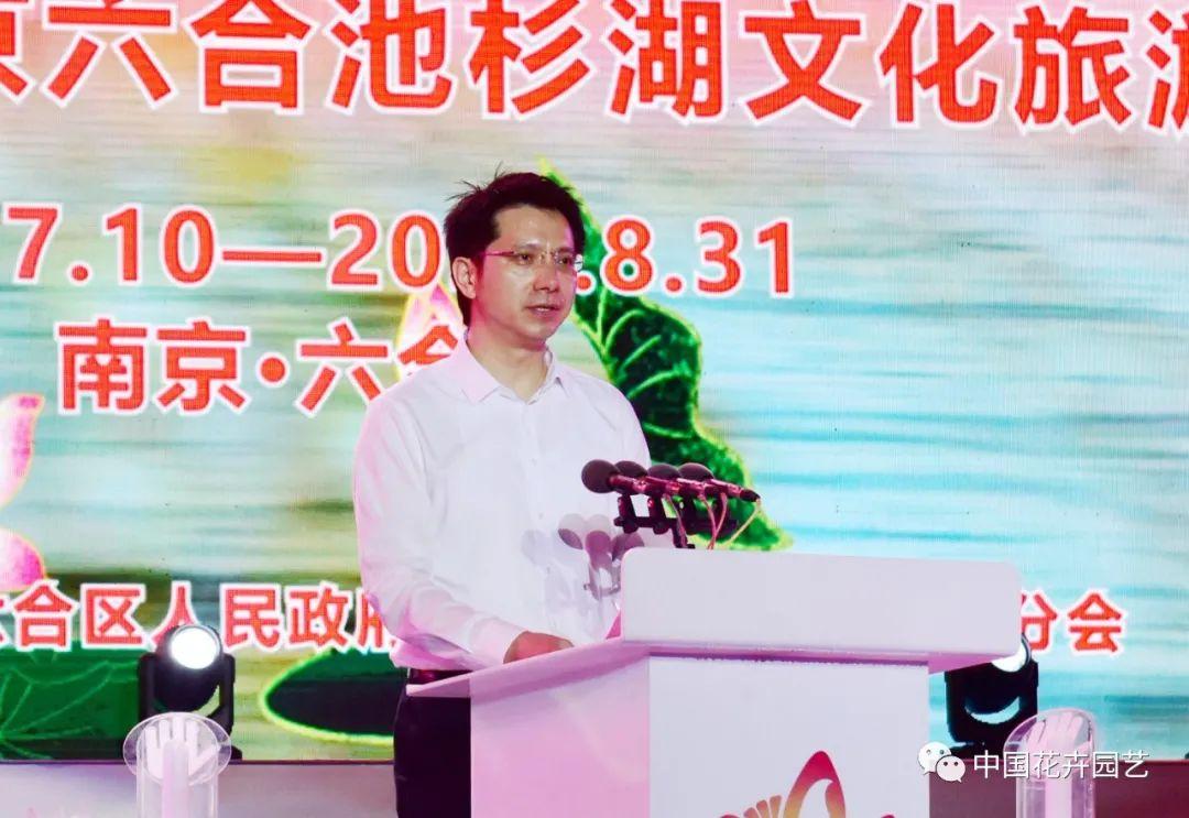 澳門最最快開獎六開，探索彩票開獎的奧秘與策略，澳門彩票開獎奧秘與策略探索，六開速覽