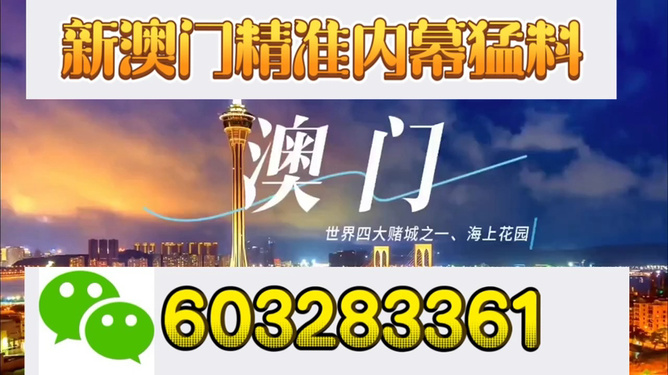 新澳門開獎結(jié)果，探索與解析，新澳門開獎結(jié)果深度解析與探索