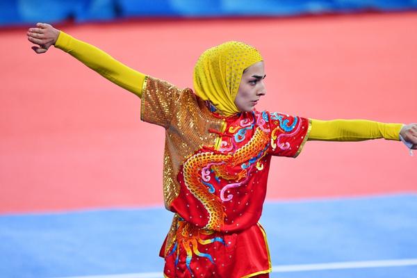 揭秘504王中王一肖，背后的故事與傳奇，揭秘王中王一肖傳奇，背后的故事與神秘面紗