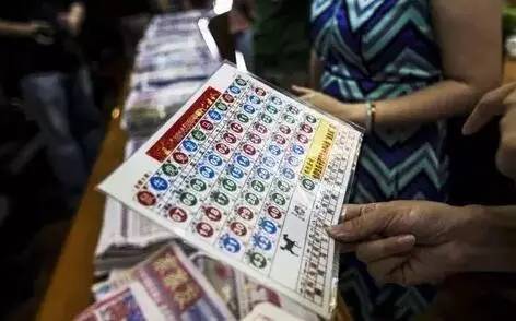 香港王中王開(kāi)獎(jiǎng)結(jié)果查詢，今晚開(kāi)獎(jiǎng)盛況一覽，香港王中王開(kāi)獎(jiǎng)結(jié)果查詢，今晚盛況揭曉，最新開(kāi)獎(jiǎng)信息一覽