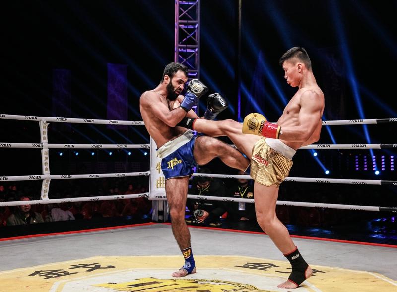 王中王網(wǎng)四肖主一碼，深度解析與SEO優(yōu)化策略，王中王網(wǎng)四肖主一碼，深度解析與SEO優(yōu)化策略全攻略