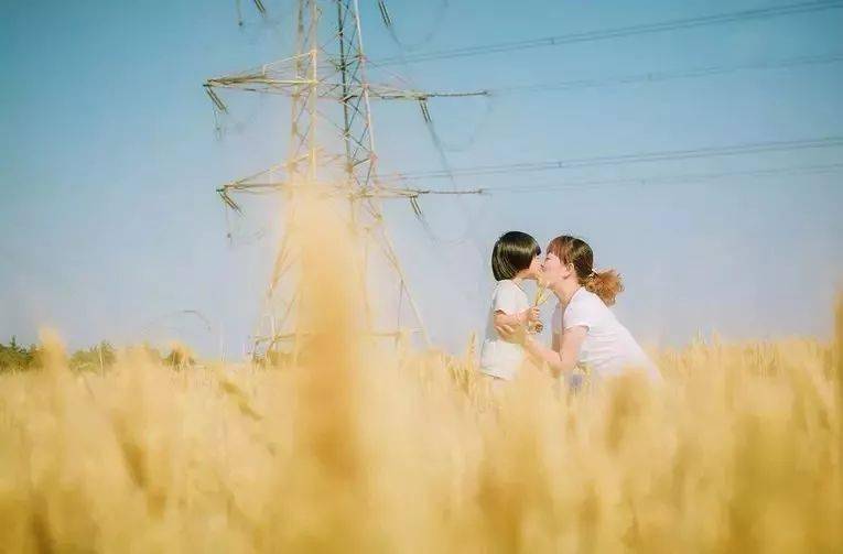 新澳門最精準正最精準龍門，探索與揭秘，新澳門最精準正龍門探索揭秘攻略