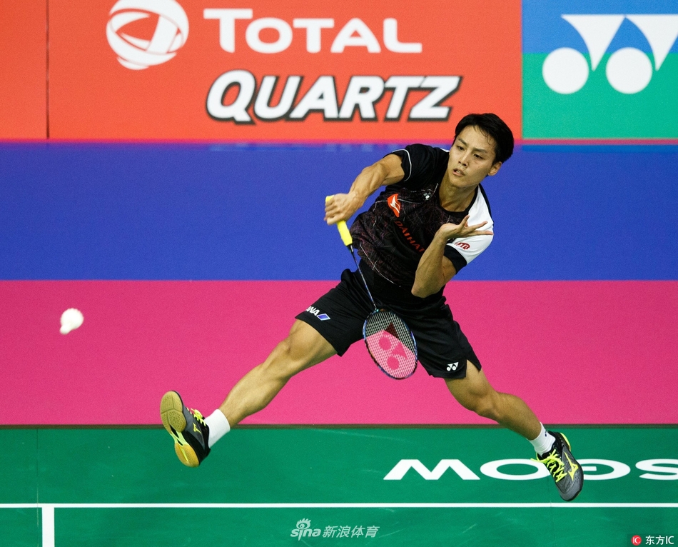 一肖平碼王中王，揭秘背后的秘密與策略，揭秘一肖平碼王中王的秘密與策略