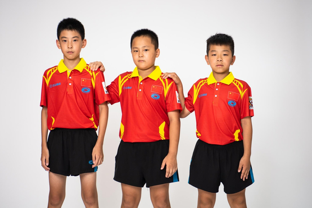 王中王白小姐四肖選一，揭秘背后的秘密與策略，揭秘王中王白小姐四肖選一背后的秘密與策略之道